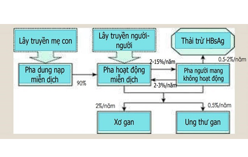 viem-gan-b-lay-qua-qua-duong-nao