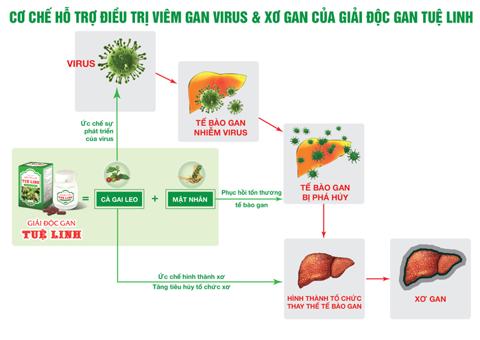 co-che-giai-doc-gan-2